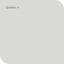 Levis Muur en Plafond - mat - Eierschaal - 10L