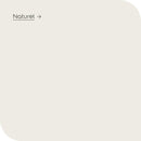 Levis Muur en Plafond - mat - Eierschaal - 10L