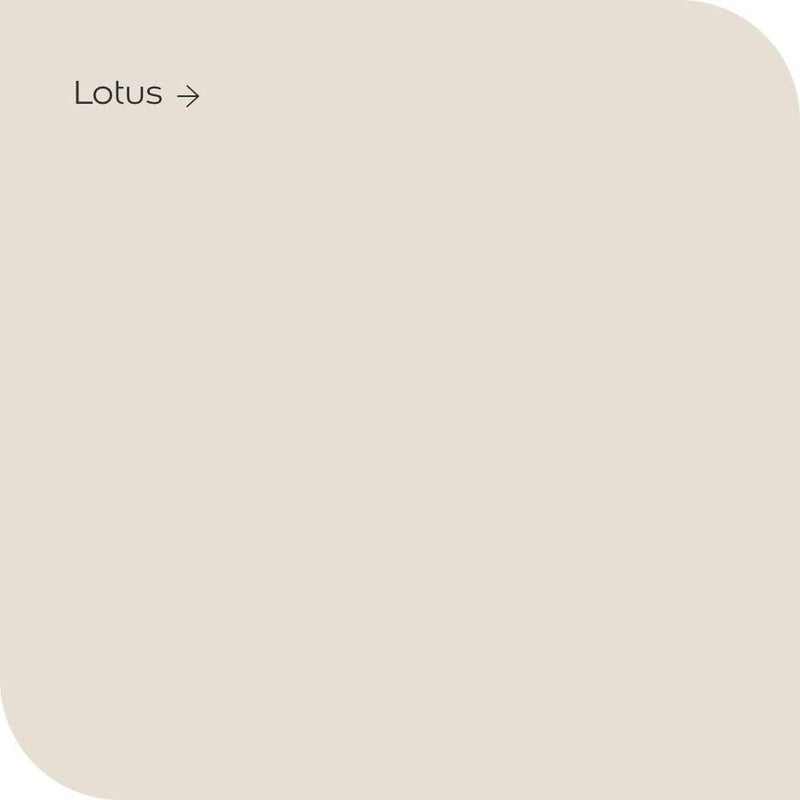 Levis Muur & Plafond Satin Lotus 8+2 L