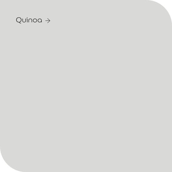 Levis Muur en Plafond - mat - Quinoa - 5L