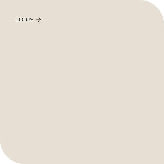 Levis Muur en Plafond - mat - Lotus - 10L