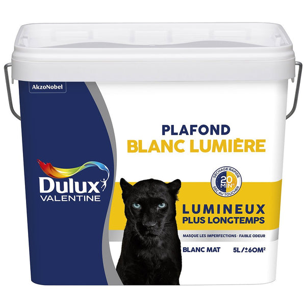 Dulux Valentine Plafond Blanc Lumiere WIT - 5L